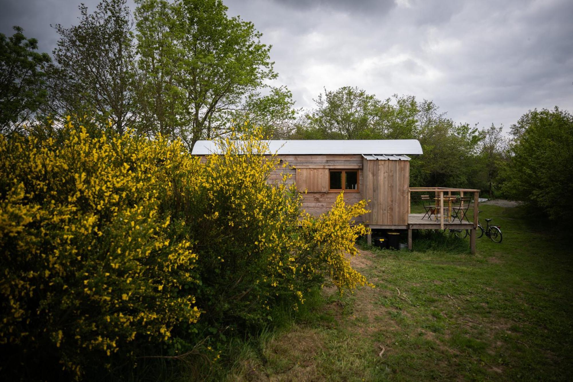 Ferme De Pitoue *